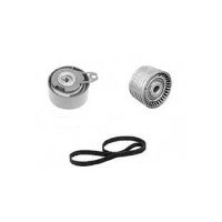 Set di cinghie dentate con 2 pulegge folli