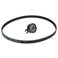 Set di cinghie dentate con 1 puleggia folle