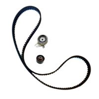 Set di cinghie dentate da 6-98> 9-02-02 168 denti