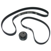 Set di cinghie dentate con 1 puleggia folle