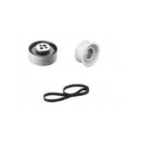 Set di cinghie dentate con 2 pulegge di rinvio