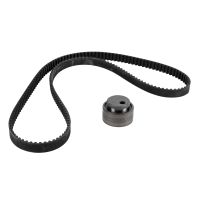 Set di cinghie dentate con 1 puleggia folle