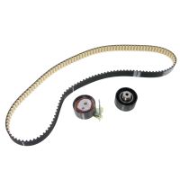 Set di cinghie dentate con 2 pulegge folli