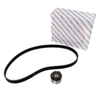 Set cinghia dentata 129 denti originale