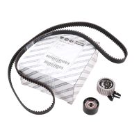 Set di cinghie dentate