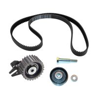 Set di cinghie dentate con 2 pulegge di rinvio