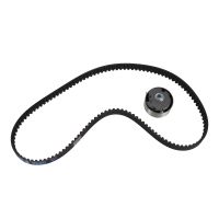 Set di cinghie dentate 1.1 8 V 125 denti DAYCO
