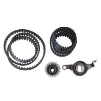 Set di cinghie dentate con 2 pulegge di rinvio