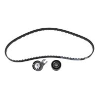 Set di cinghie dentate DAYCO