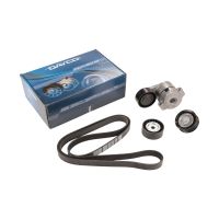 Set di cinghie trapezoidali scanalate con 2 pulegge e braccio di tensione