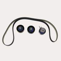 Set di cinghie dentate con 3 pulegge folli