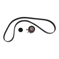 Set di cinghie dentate con 1 puleggia di tensione