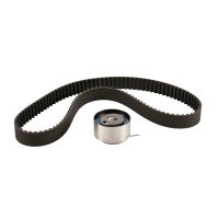 Set di cinghie dentate con 1 puleggia di tensione