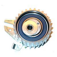 puleggia di tensione della cinghia dentata