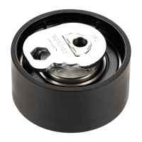 Tendicinghia di distribuzione