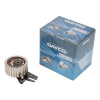 Tendicinghia dentata DAYCO