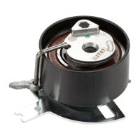 Tendicinghia di distribuzione