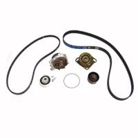 Set cintura dentata con Wapu e set di compensazione