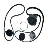 Set cintura dentata con Wapu e set di compensazione