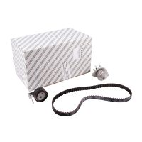 set di cinghie di distribuzione con pompa dell'acqua originale