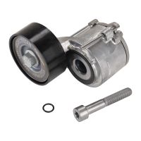 Tendicinghia, puleggia tendicinghia