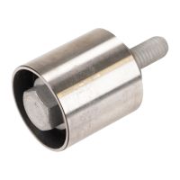 Tendicinghia, cinghia di distribuzione