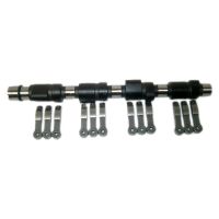 Albero a camme con bilancia