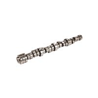 Albero a camme 6.4L V8