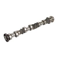 Ingresso albero a camme