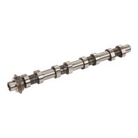 Albero a camme 21 denti catena di distribuzione passo 7 mm