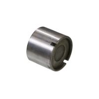 Regolatore della punteria della valvola