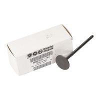 Valvola di aspirazione