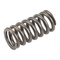 Molla della valvola 1,3 JTD