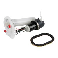 Gruppo erogazione carburante con sensore di livello