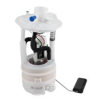 Gruppo erogazione carburante con sensore di livello