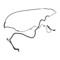 Conduttura dell'urea