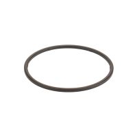 Guarnizione filtro carburante