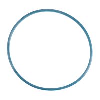 Guarnizione pompa carburante nel serbatoio