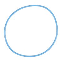 Guarnizione pompa benzina nel serbatoio