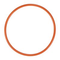 Guarnizione pompa benzina sul serbatoio