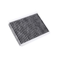 Filtro Filtro cabina antipolline Filtro a carboni attivi