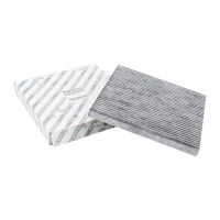 Filtro a carbone attivo in cabina