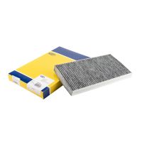 Filtro a carbone attivo in cabina