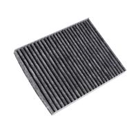 Filtro antipolline nella cabina filtro a carboni attivi