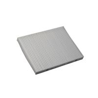 Filtro antipolline interno