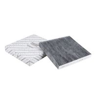 Filtro interno a carbone attivo