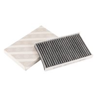 Filtro aria abitacolo con filtro a carboni attivi