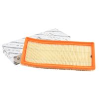 Inserto del filtro dell'aria originale angolare