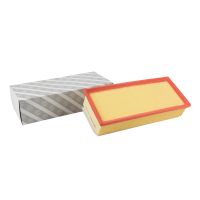 Elemento del filtro dell'aria angolare AG Automotive