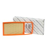 Cartuccia del filtro dell'aria Quadrato originale